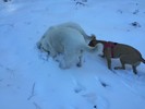 photo thumbnail #14