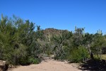 photo thumbnail #1