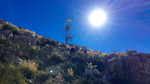 photo thumbnail #5