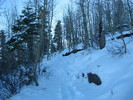 photo thumbnail #2