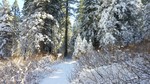 photo thumbnail #4