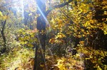 photo thumbnail #15