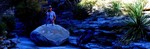 photo thumbnail #10