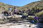 photo thumbnail #13