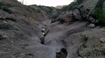 photo thumbnail #1
