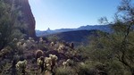 photo thumbnail #5
