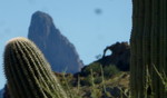 photo thumbnail #15