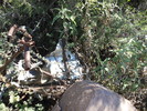 photo thumbnail #12