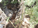 photo thumbnail #13