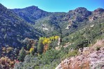 photo thumbnail #11