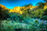 photo thumbnail #6