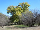 photo thumbnail #3