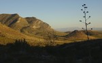 photo thumbnail #1