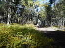 photo thumbnail #8
