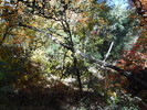 photo thumbnail #12