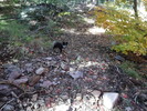 photo thumbnail #13