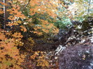 photo thumbnail #15