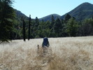 photo thumbnail #10