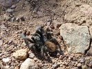 photo thumbnail #14