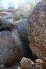 photo thumbnail #15