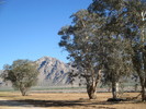 photo thumbnail #7