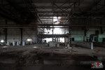 photo thumbnail #7