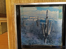 photo thumbnail #12
