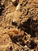 photo thumbnail #13
