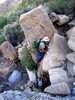 photo thumbnail #4