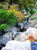 photo thumbnail #8