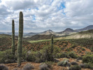 photo thumbnail #3