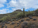 photo thumbnail #5