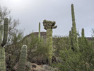 photo thumbnail #6