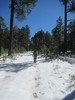 photo thumbnail #7