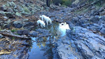 photo thumbnail #11