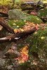 photo thumbnail #6