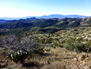 photo thumbnail #4