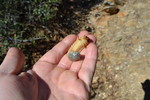 photo thumbnail #2