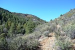 photo thumbnail #3