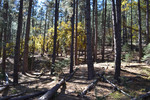 photo thumbnail #5