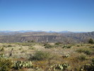 photo thumbnail #5