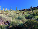 photo thumbnail #10