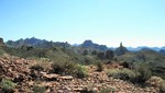 photo thumbnail #2