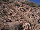 photo thumbnail #6
