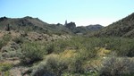 photo thumbnail #9