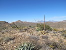 photo thumbnail #4