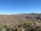 photo thumbnail #5