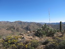 photo thumbnail #6