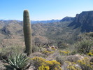 photo thumbnail #7