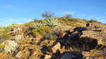photo thumbnail #6
